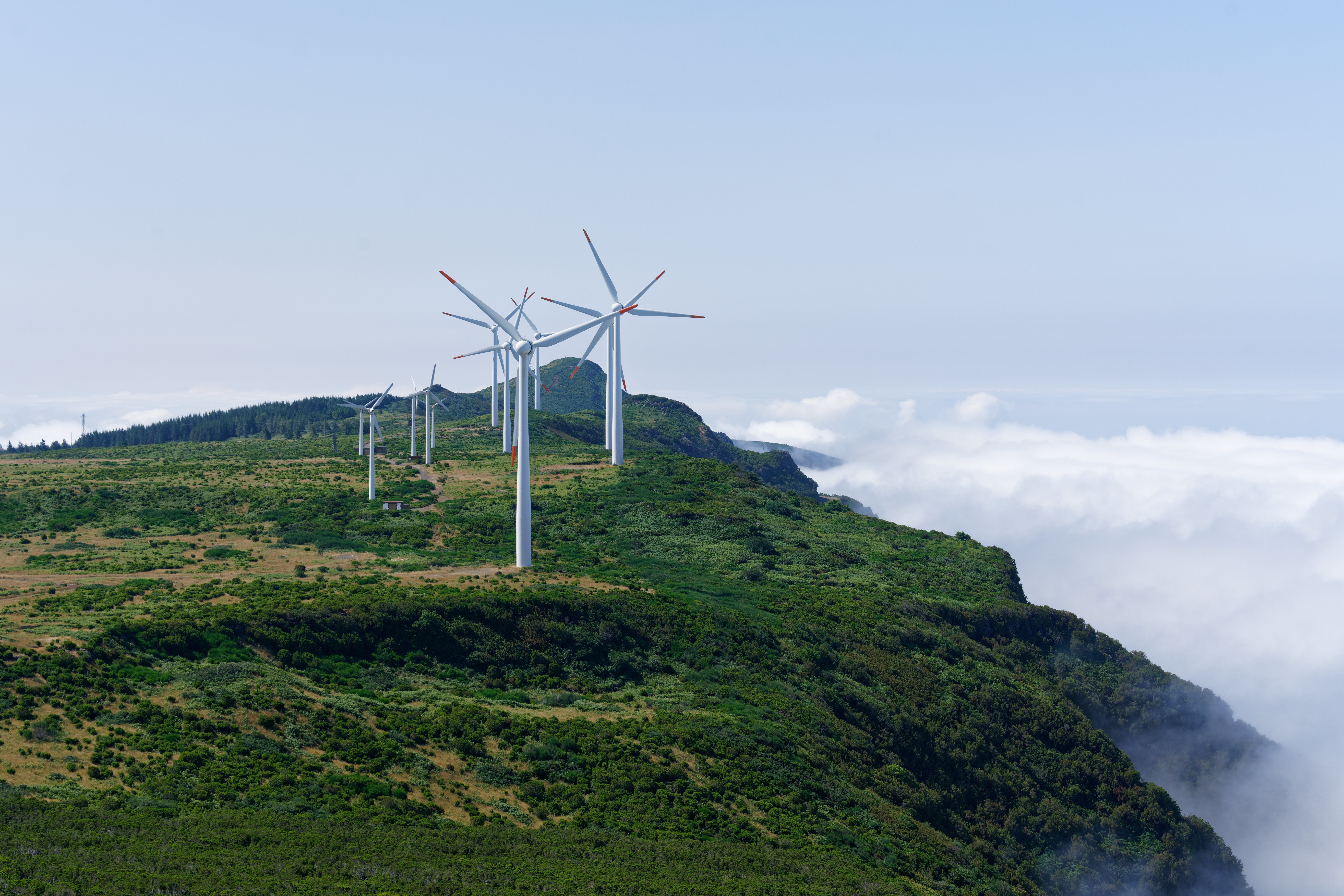 ThinkGreen Banner